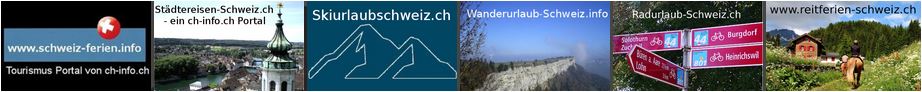content seo schweiz sommerskifreienschweiz