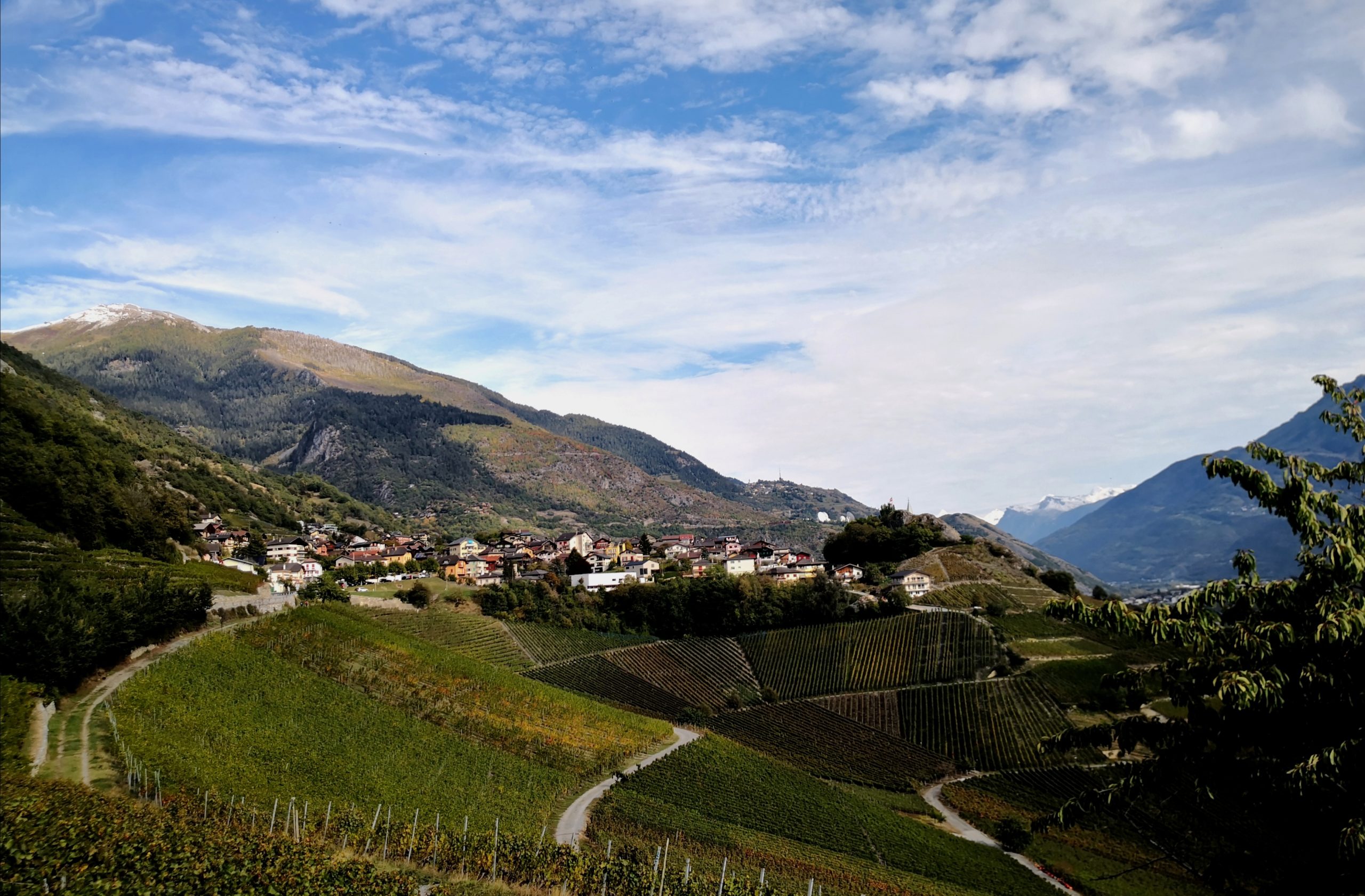 Weinberg besichtigen im Wallis