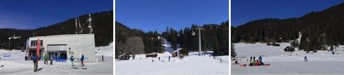 gute skischule berner oberland