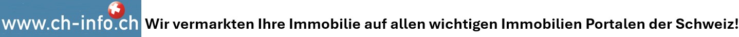 immobilie in gutem Skigebiet schweiz kaufen